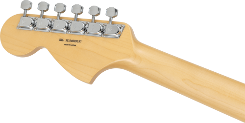 Limited Stratocaster Pink Paisley5